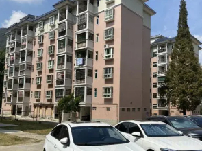 Blue Mountain Xinyuan Apartment