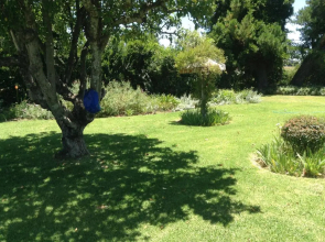Clarens socialites, Thatch Cottage #1
