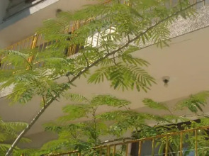 Sunrise 2 Guest House