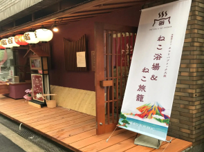 Cat Spa & Cat Ryokan by Neco Republic Osaka