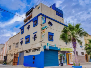 Dinosaur anza surf house