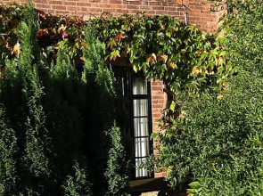 The Barns Country Guesthouse