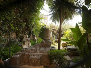 Apartment Dioklecian Wall