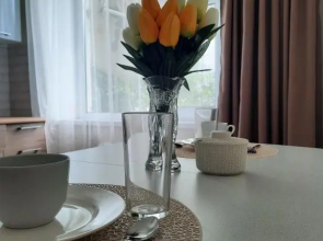 2х комнатная квартира