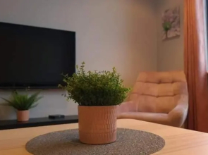 Kirkjufell central apartment