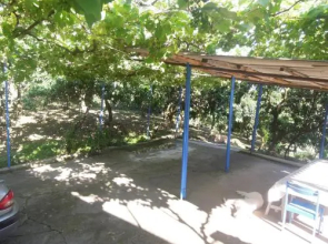 Guest house Mandarinovyj sad