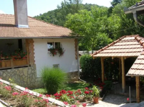 Guest house Guča