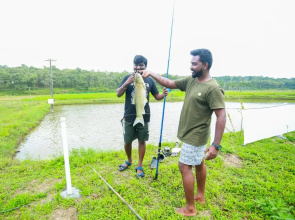 Wildside Jungle Retreat Wayanad Resort By Voye Homes