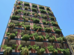 Nest 1 Hotel