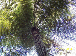 Westwind Homestay B & B