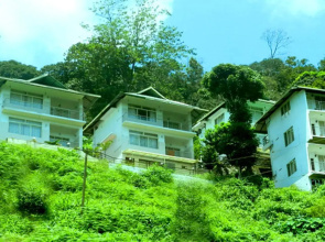 Mist Inn Resort
