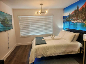 Near Airport, Hospital, 58 TV Apt 151