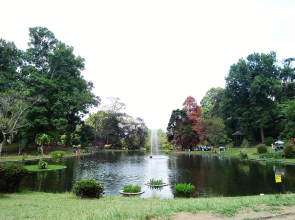 Villa Tawang Cipanas Cianjur RedPartner