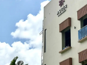 Aster Apartment Bali