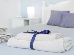 Katriya Hotel & Towers 4 Star