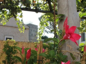 Gelsomino Rooms Ravello