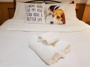 Spacious Penthouse (WiFi 25mbps & Netflix)