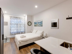 M11 Modern Comfy Studio w AC in Plateau Mile-end
