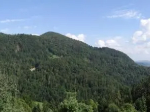 Apartments Trebušak