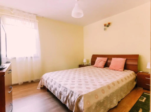 Spacious Apartment near Peles