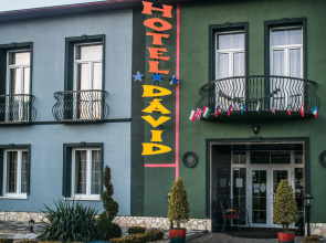 Hotel David