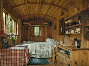 Cosy Woodland off Grid Shepherds Hut - Rowan