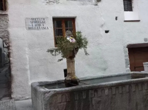 Il Larice