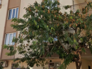 Best View Family Home