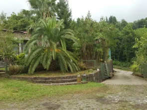 Bambarbia Guesthouse