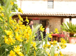 Podere Passatore