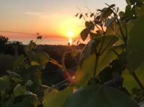 BB Il Tramonto