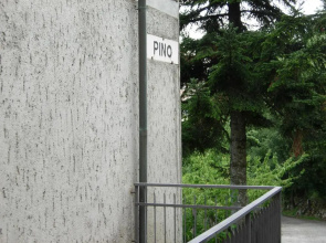 Il Pino Amiata