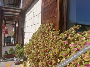 Fengcheng Tongda Ecological Park