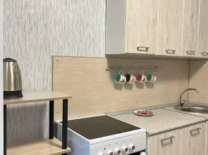 Апартаменты на улице Профессора Благих 71