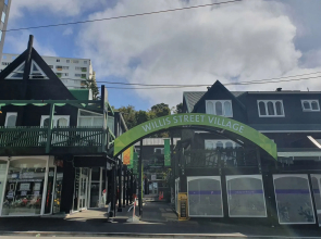 Willis Village