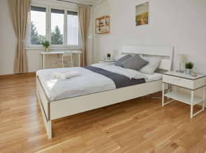 Gemütliches Apartment in zentraler Lage