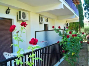Red Rose Garden
