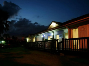 Jeju Palm Hills Pension