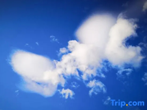 Shiduju Boutique Hotel