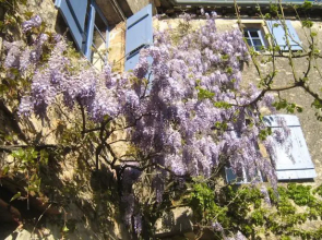 La Maison d'Hôtes Chez Delphine