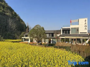 Xingyi Wanfeng Forest Aoki Yaju