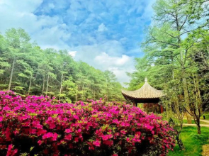 Shanglianggang Tourist Resort Hotel Fenghua