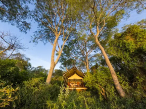 Glamping Los Palmares