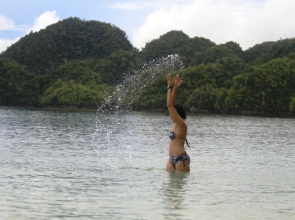 Hidden island resort