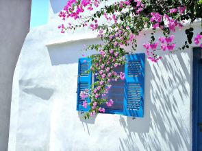Purple Flower Villa