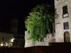 La Fattoria Del Boschetto