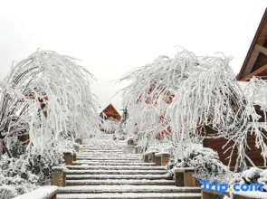 Scandina Resort Hotel