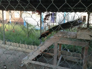 Raysky Ugolok Guest House