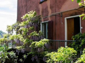 ALTIDO Wisteria House