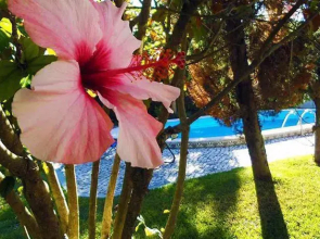 Native Adventure Hostel